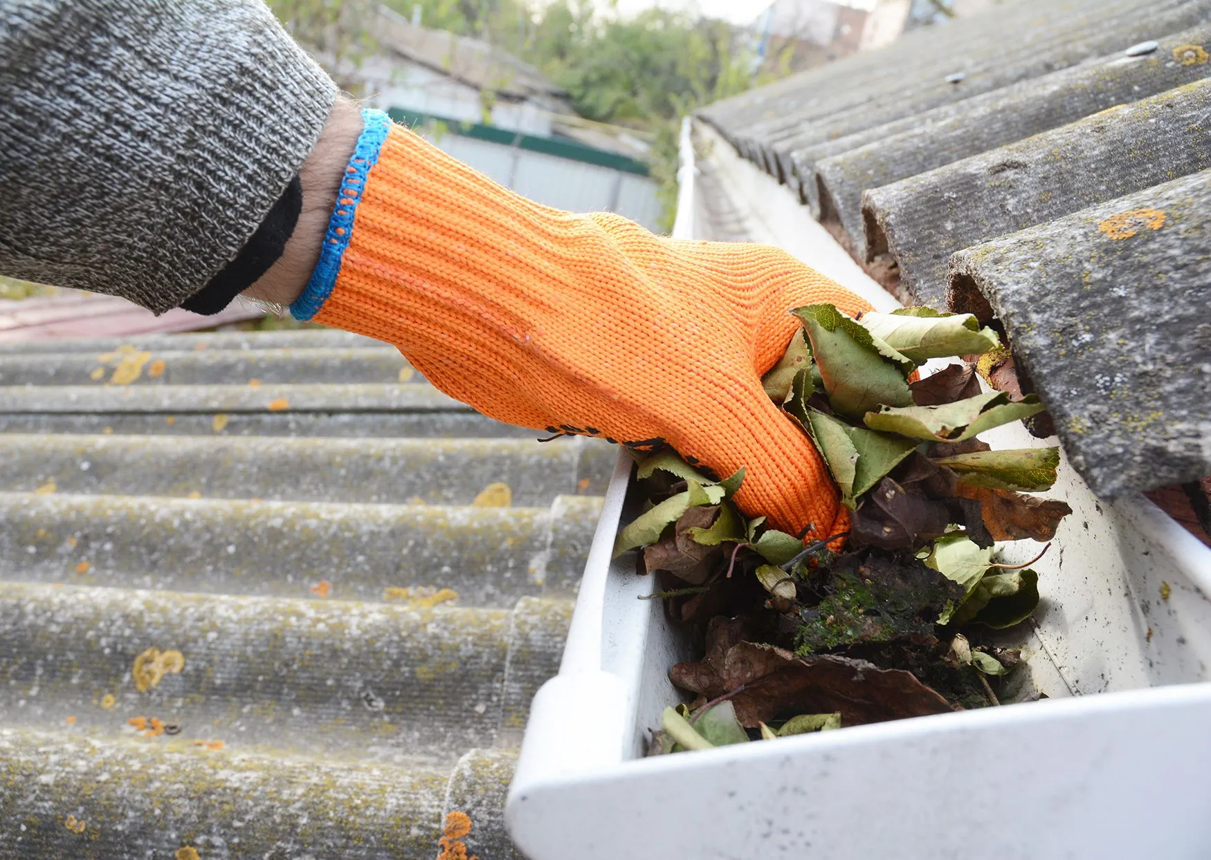 clean-maintian-gutters.webp